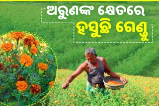 ସଫଳ ଫୁଲ ଚାଷୀ ଅରୁଣ, ଫୁଲର ସମ୍ଭାରରେ ସଜେଇ ହୋଇଛି ବଗିଚା