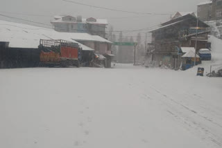 Snowfall in shimla.