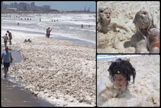 Argentina's top beach resort  are covered by vast quantities of sea foam