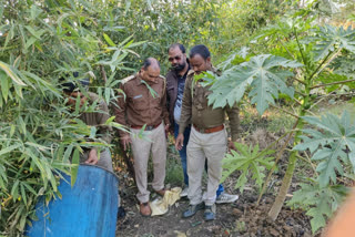 200 liter wash destroyed in pratapgarh , excise department pratapgarh