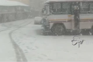 WATCH: Himachal experiences fresh snowfall in various districts