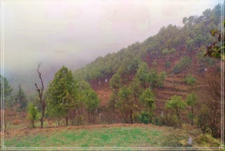 snow and rainfall in karsog