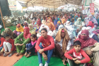 Farmers protesting on  Dhansa Border will protest on National and State Highways on 6 February