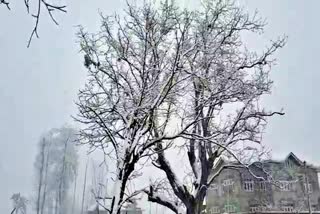 Snowfall continues in Kashmir Valley