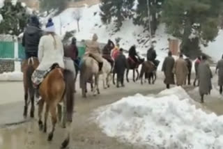 Rising in number of tourists in Pahalgam