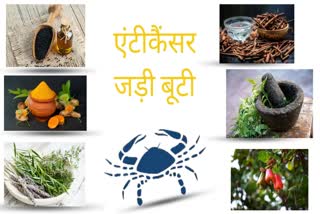 Cancer curable with Ayurveda