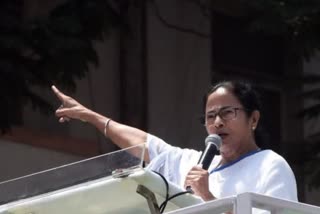 cm mamata banerjee