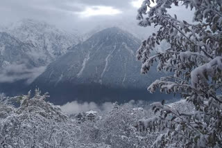 hevay snowfall in kinnaur