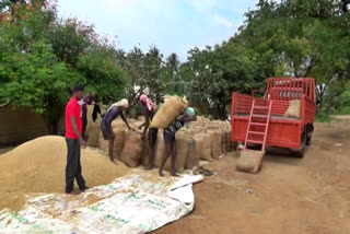 ராஜபாளையம் புதுகுளம் கண்மாய் பாசன விவசாயிகள் அரசு நெல் கொள்முதல் நிலையம் அமைக்க கோரிக்கை