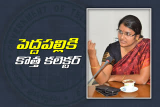 Sangeetha appointed as  peddapally district new collector