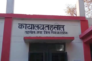 Tehsil Office