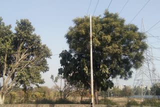 new delhi dwarka street light problem