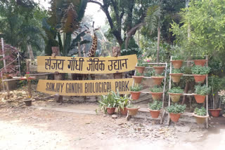 संजय गांधी जैविक उद्यान