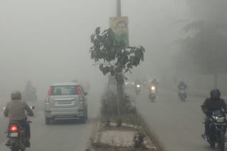 cold in delhi after rain fog also knocked