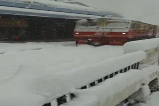 Himachal tourists enjoy ride in Kalka Shimla train