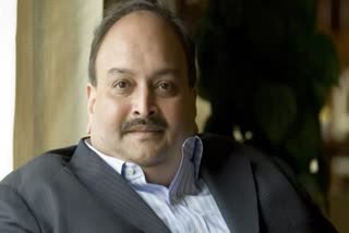 Mehul Choksi