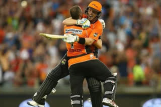 perth scorchers