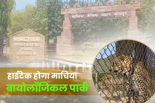 Machia Biological Park, Jodhpur latest news, 11 फरवरी को एक महत्वपूर्ण बैठक