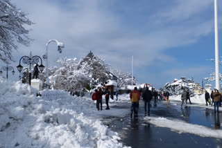 Vehicle movement started in Shimla Narkanda Kufri