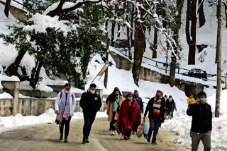 heavy snowfall in shimla