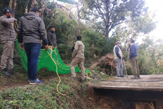 guldar-stuck-in-wire-in-narkota-village