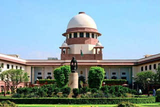 SC-appointed panel talks to state govt, private mandi operators