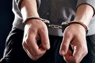 smugglers arrested