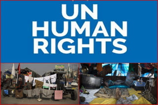 UN human rights office