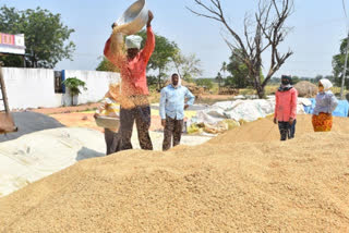 grain purchases in telangana