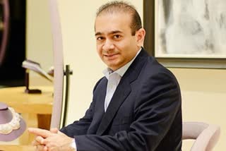 Nirav Modi's remand extended in UK until extradition judgment on Feb 25