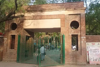 Delhi university