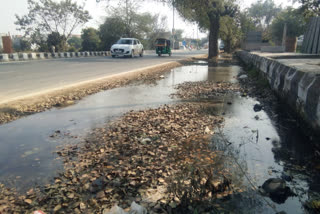 Sewer overflow on the road from Najafgarh towards Jharoda in Delhi