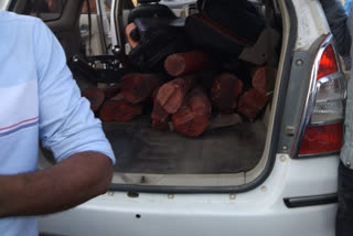 red sandal logs were seized at mallanur checkpost in chittor district