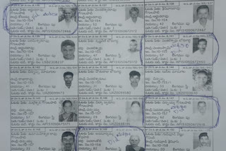 mistakes in voter lists in guntur district pedkurapadu