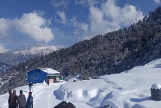 snowfall in chopta rudraprayag