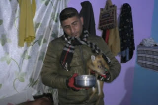 small Kakkar child wandering in a populated area of chamba