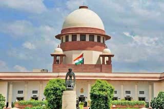 Persons in illegal occupation of panchayat land cannot claim regularisation as matter of right: SC