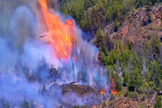 Firefighters struggle to battle Patagonia forest fire