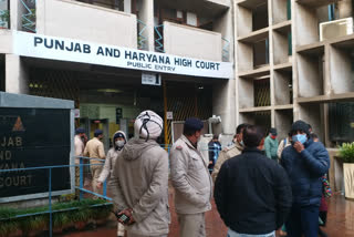 punjab haryana highcourt