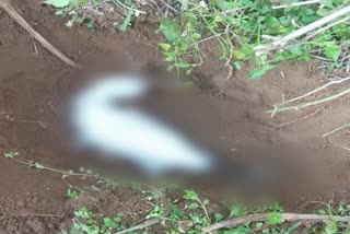Dead heron found in dhirad