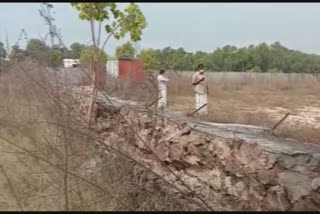 The wall around the Vandanam Medical College Hospital collapsed.  Vandanam Medical College Hospital  collapsed  Alappuzha  ആലപ്പുഴ മെഡിക്കൽ കൊളജ് ആശുപത്രിയുടെ ചുറ്റുമതിൽ നിലംപൊത്തി  ആലപ്പുഴ മെഡിക്കൽ കൊളജ് ആശുപത്രി  വണ്ടാനം മെഡിക്കല്‍ കൊളജ് ആശുപത്രി  ആലപ്പുഴ  ചുറ്റുമതില്‍ തകര്‍ന്നു  നിര്‍മാണത്തില്‍ ഉണ്ടായ അഴിമതി