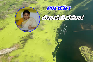 CMO chief secretary smitha sabarwal who captured the beauties of Maneru coast in rajanna siricilla