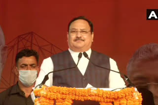 Central government schemes to be implemented in Bengal: JP Nadda