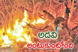 forest-department-warnings-on-fire-accidents-in-forest-due-to-summer-season