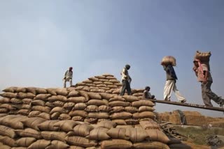 paddy procurement at msp