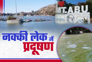 सिरोही न्यूज़, pollution problem, Nakki Lake