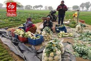 gohana farmers Bhavantar Yojana J farm