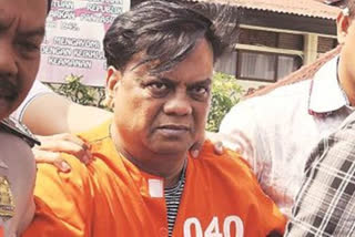 gangstar chhota rajan cleared of all charges for murder attempt on journalist in 1997