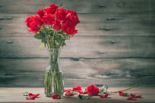 rose day : the 1st day of valentine week