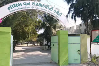 નાયબ વન સંરક્ષક કચેરી